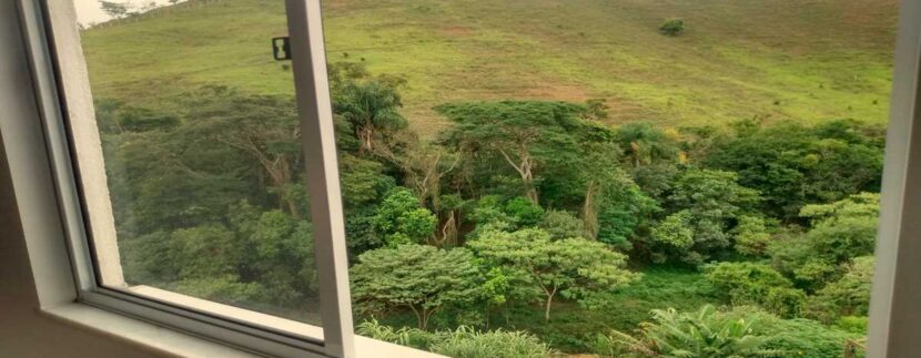 vereador raymundo hargreaves 100bl2r2a