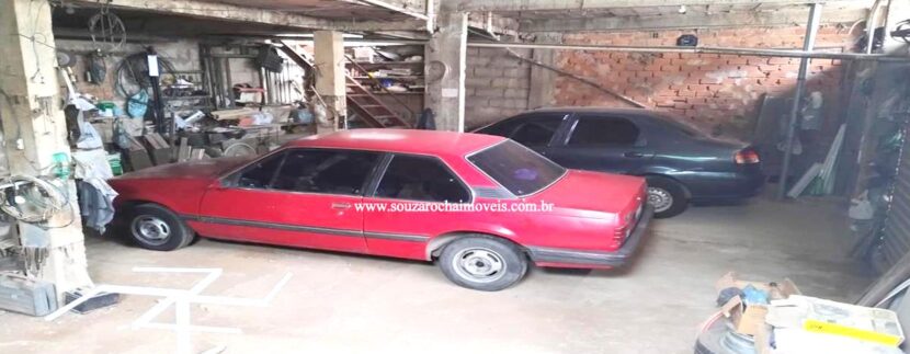 venda milho branco ivan batista 30