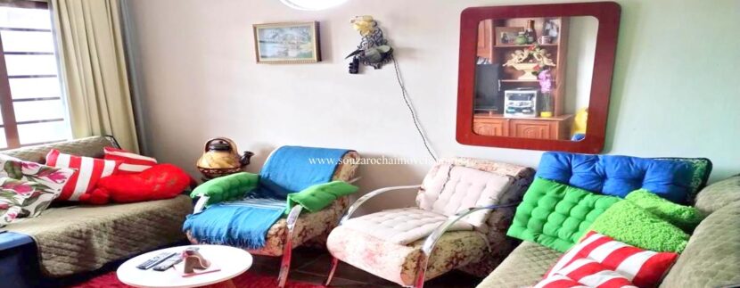 venda milho branco ivan batista 8